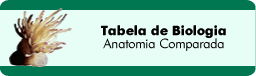 Tabela de Biologia